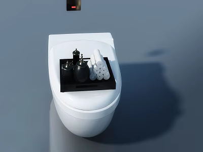 Swing Door For Modern Bathroom With White Toilet And Black Tray Accessories 3d model
