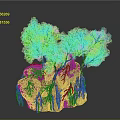 Decorative Rock Garden Model With Green Trees And Exposed Roots