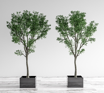 Modern potted plant tree potted combination 3d model