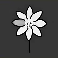 Smiley Face Flower With White Petals And Black Outline Simple Design