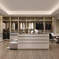 Modern Closet With Glass Doors And Handbags