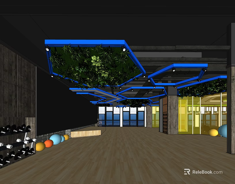 Fitness Gym Interior With Wooden Floor Blue Ceiling Green Plant Decorations Dumbbells And Fitness Balls 3d model 