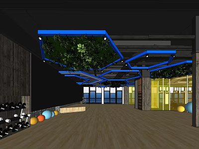 Fitness Gym Interior With Wooden Floor Blue Ceiling Green Plant Decorations Dumbbells And Fitness Balls 3d model