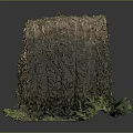 Natural Hay Bale With Green Plants Growing At Base On Dark Background
