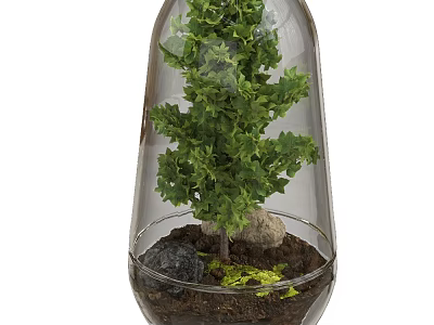Decorative Bonsai Plant in Transparent Glass Container with Green Foliage Stones and Moss 3d model