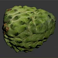 Fresh Green Sugar Apple Tropical Fruit With Textured Skin And Orange Spots