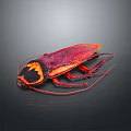 Reddish Brown Cockroach With Black And Yellow Patterned Head On Dark Background 3d model
