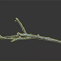 Handcrafted Wood And Stone Decorative Piece With Natural Branch Shape And Rustic Texture