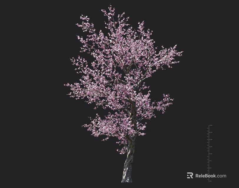 Blooming Tree With Pink Flowers And Detailed Trunk Texture On Black Background 3d model 