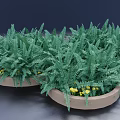 Bonsai Potted Plants with Green Ferns in Light Brown Round Pots and Yellow Flowers