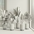 Various Bonsai Potted Plants in White Pots with Metal Bases for Minimalist Interiors