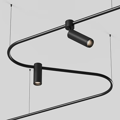 Stylish Modern Black Hanging Downlight Spotlight With Curved Bracket Structure Design 3d model