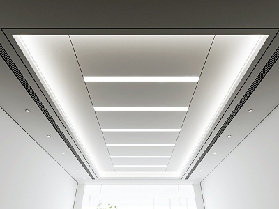 Meeting Room Ceiling Soft Film Ceiling 3d model