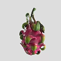 Fresh Ripe Dragon Fruit with Pink Skin and Green Leafy Tips on White Background