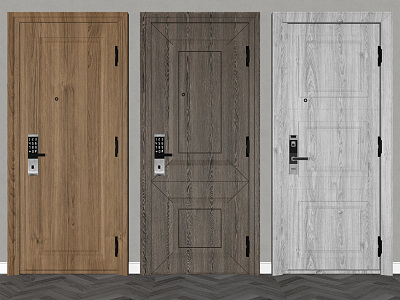 Modern swing door password door model