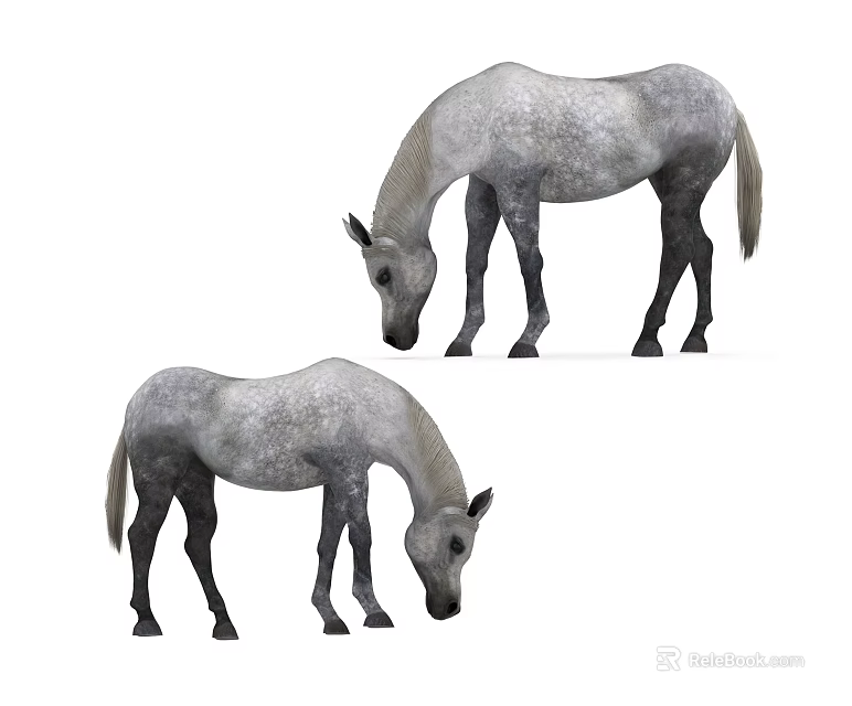 Two Gray Reptiles With Downward Heads In Natural Habitat View 3d model 