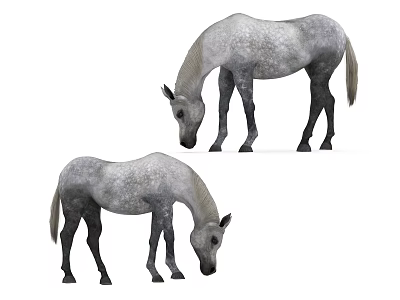 Two Gray Reptiles With Downward Heads In Natural Habitat View 3d model