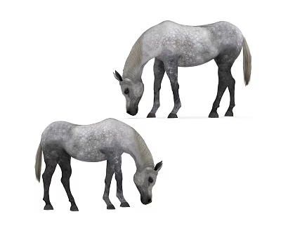 Modern horse white horse 3d model
