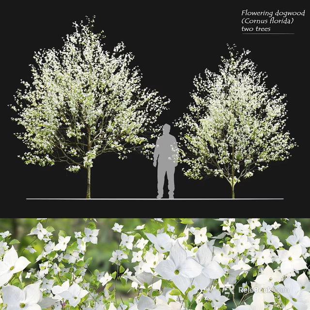 Decorative Ornament Combination Featuring White Flower Trees And Human Silhouette Decor Elements 3d model