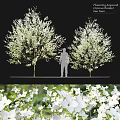 Decorative Ornament Combination Featuring White Flower Trees And Human Silhouette Decor Elements 3d model