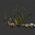 Wood Stone Materials with Green Plants Small Yellow Flowers White Daisies and Dark Background Reflections