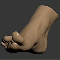 Man's Light Brown Foot 3D Model With Realistic Anatomical Details And Reflection On Black Background