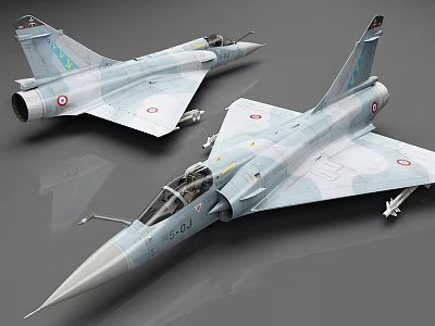 Two Detailed Military Fighter Aircraft Models With Camouflage Paint On Gray Background 3d model