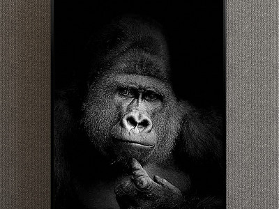 Modern Animal Painting Simple Black and White Study Animal Orangutan Decorative Painting model