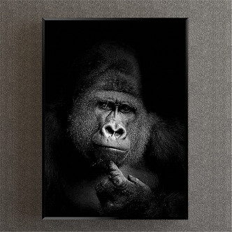 Modern Animal Painting Simple Black and White Study Animal Orangutan Decorative Painting 3d model