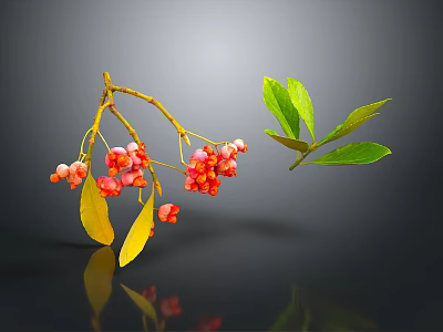 Plant Branch With Red Berries Yellow Leaves And Green Leaf On Dark Background With Reflection 3d model