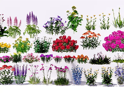 Diverse Ground Cover Plants With Colorful Flowers And Green Foliage For Garden 3d model