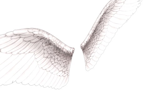 With binding animation angel wings 2013136925 3d model