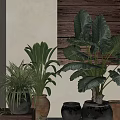 Bonsai Potted Plants Display With Various Greenery And Different Material Pots On Steps 3d model