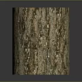 Dead Wood Dead Wood Dry Wood Dry Wood Branch Trunk Cartoon Trunk Dead Branch Tree Root Dead Tree Root Dead Tree 3d model
