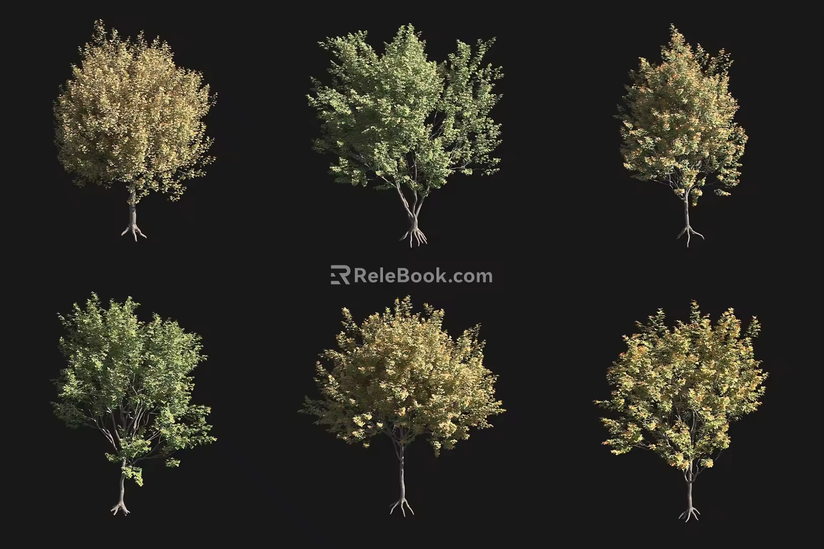 Autumn Tree Field Maple Tree 3d model