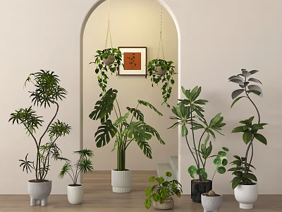 Decorative Indoor Bonsai Potted Plants With Various Greenery And Hanging Planters 3d model