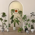 Decorative Indoor Bonsai Potted Plants With Various Greenery And Hanging Planters