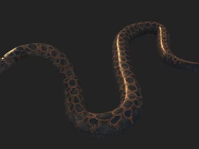 Movie grade python three material python three different diffuse binding animation 3d model