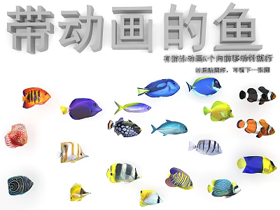 Colorful Animated Fish Of Various Types In Detailed Animation Scenes 3d model