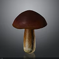 Fresh Edible Mushroom with Vibrant Red Cap and Brown Stem