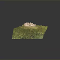 Castle Building On Green Hill With Lush Surrounding Woodland And Scenic View
