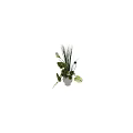 Fresh Floral Arrangement in White Vase with Green Leaves White Flowers and Slender Grasses