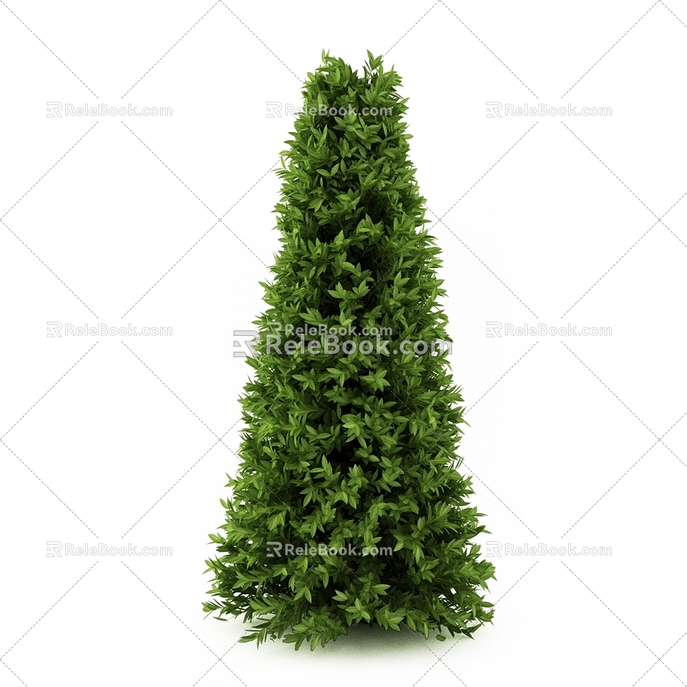 juniper landscape shrub outdoor plant 3d model