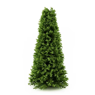 juniper landscape shrub outdoor plant 3d model