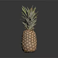 Fresh Ripe Pineapple With Leafy Top And Textured Fruit Body On Dark Background