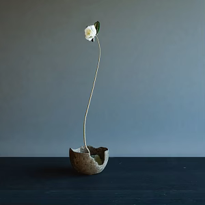 Quiet Flower Ornaments 3d model