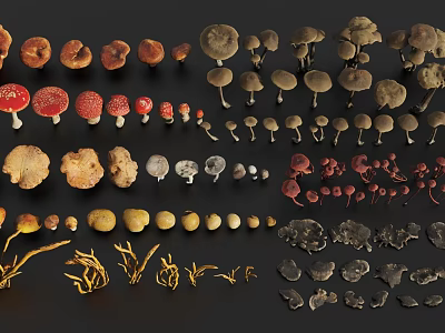 Various Types Of Colorful Mushrooms With Different Shapes And Sizes Collection 3d model
