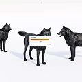 Three Black Dogs Standing In Different Positions On White Background 3d model