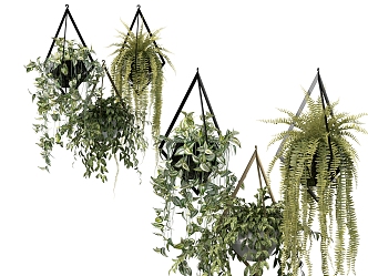 Modern hanging basket plant hanging basket 3d model