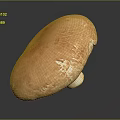 Modern mushroom straw mushroom poisonous mushroom plant 3d model